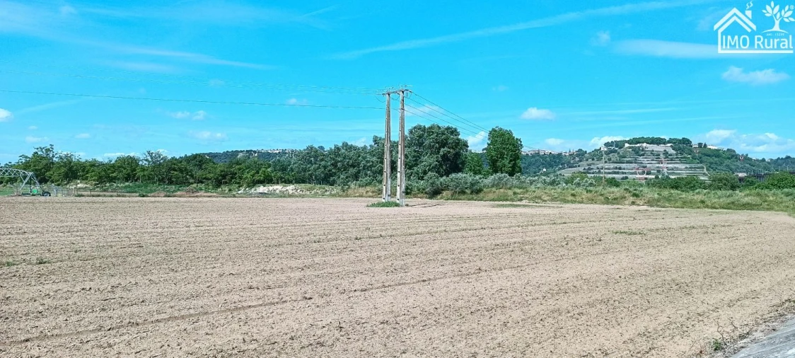 Moradia T2 para Venda em Almeirim Foto 31