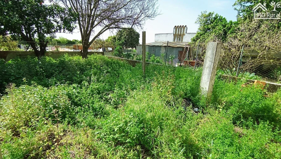 Moradia T2 para Venda em Almeirim Foto 14