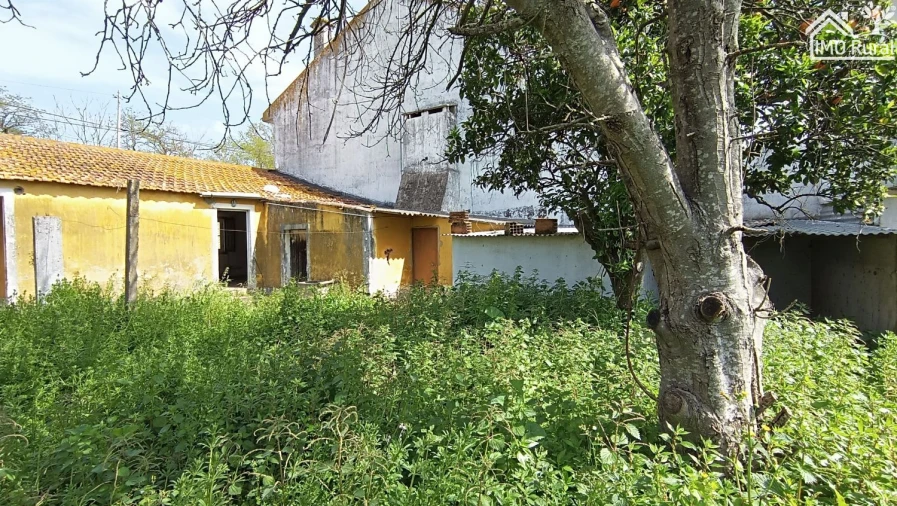 Moradia T2 para Venda em Almeirim Foto 5