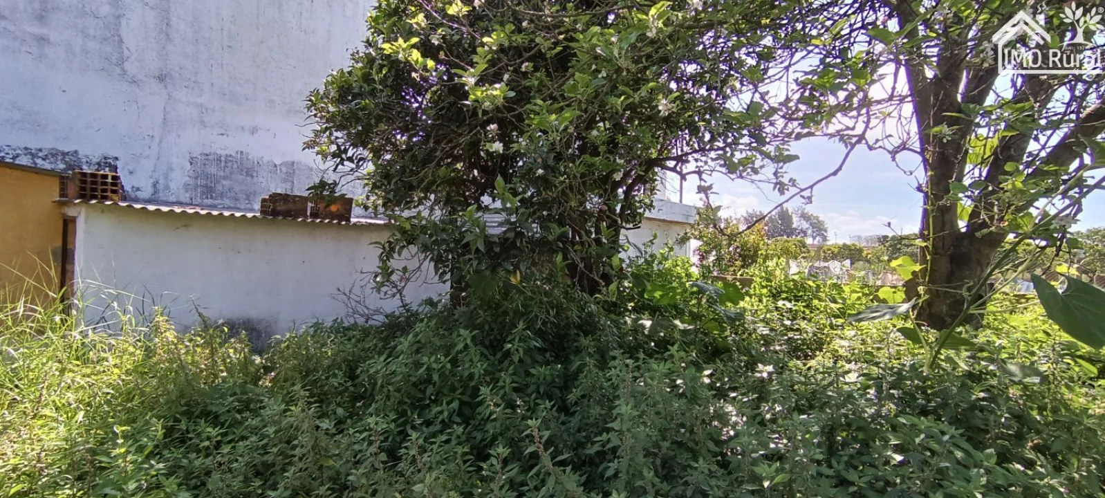 Moradia T2 para Venda em Almeirim Foto 8