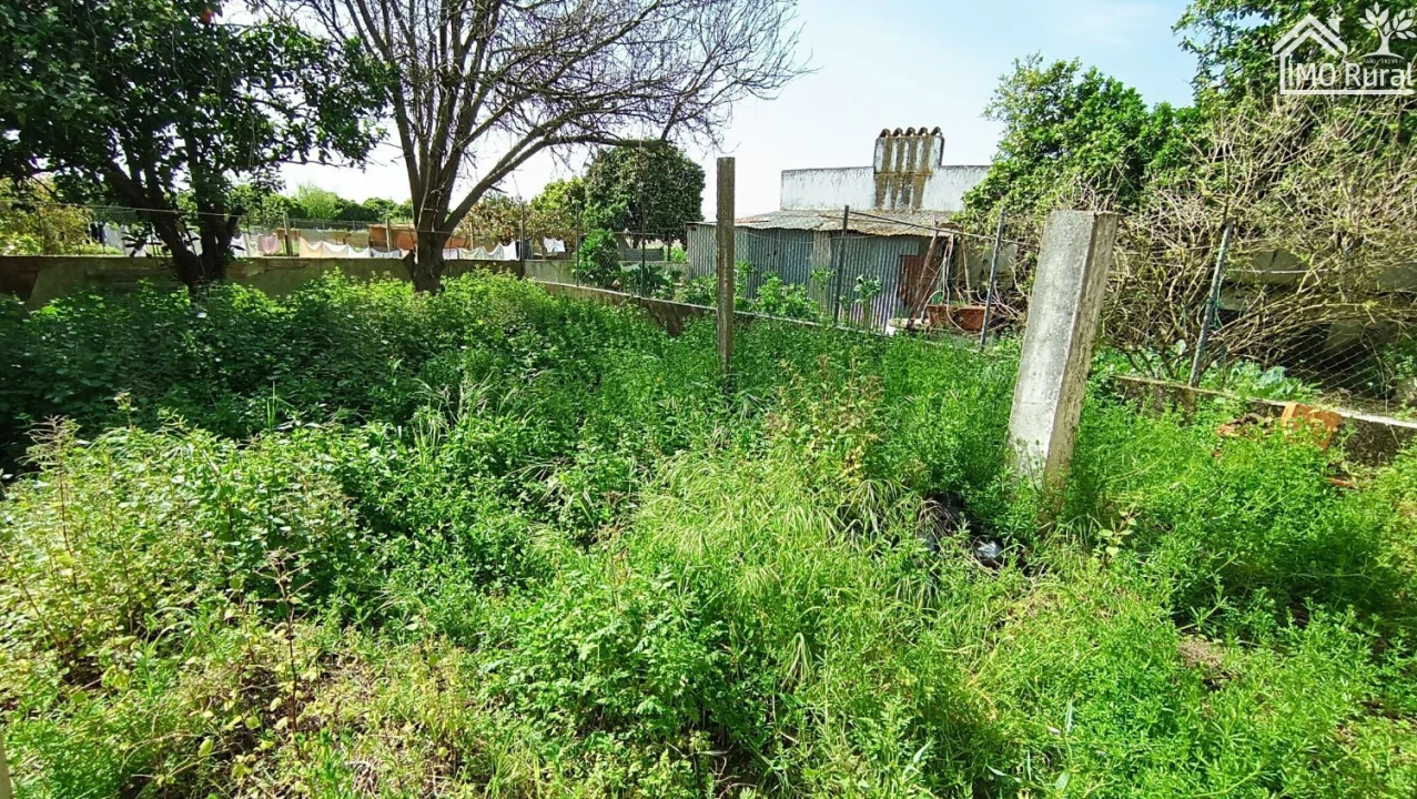 Moradia T2 para Venda em Almeirim Foto 14