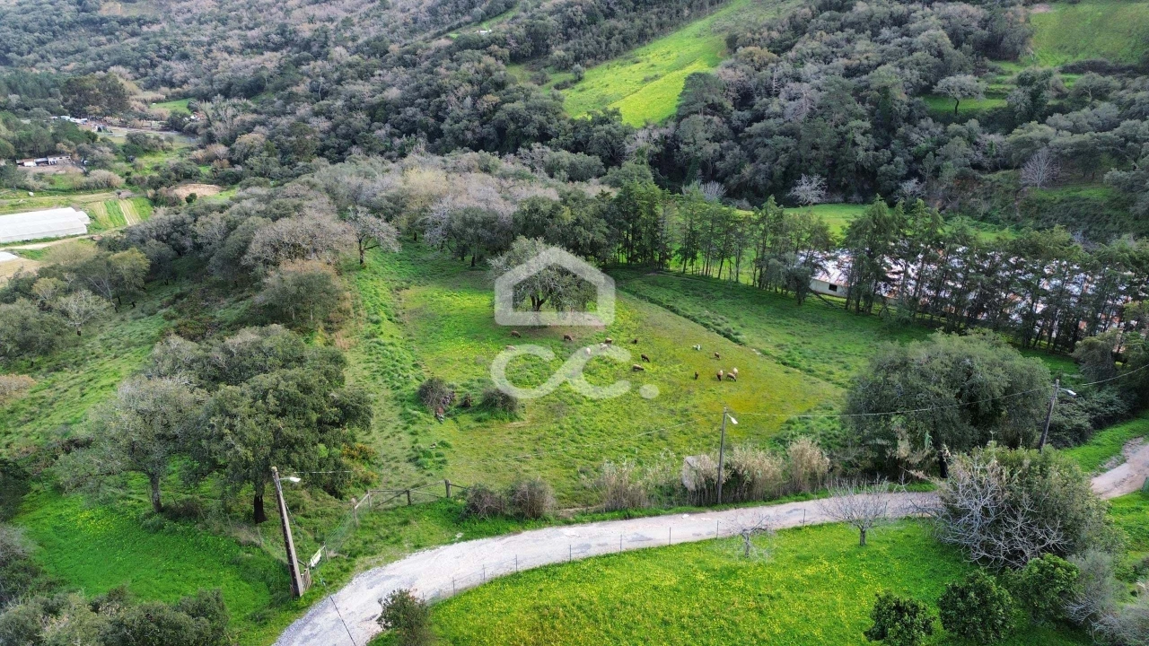 Terreno para Venda em Fanhões Foto 5