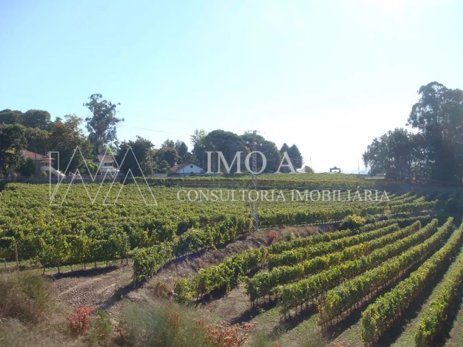 Terreno para Venda em Margaride, Várzea, Lagares, Varziela, Moure Foto 9