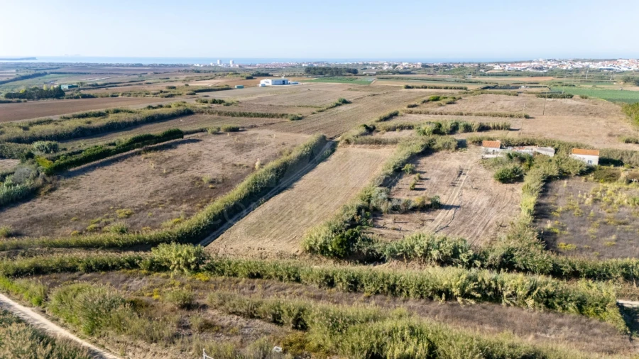Terreno para Venda em Atouguia da Baleia Foto 3