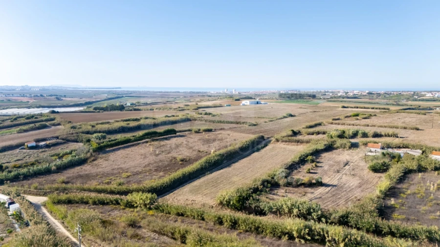 Terreno para Venda em Atouguia da Baleia Foto 4