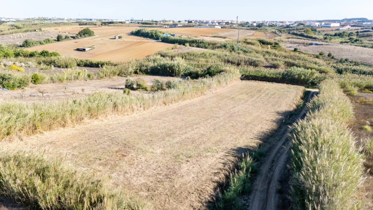 Terreno para Venda em Atouguia da Baleia Foto 5