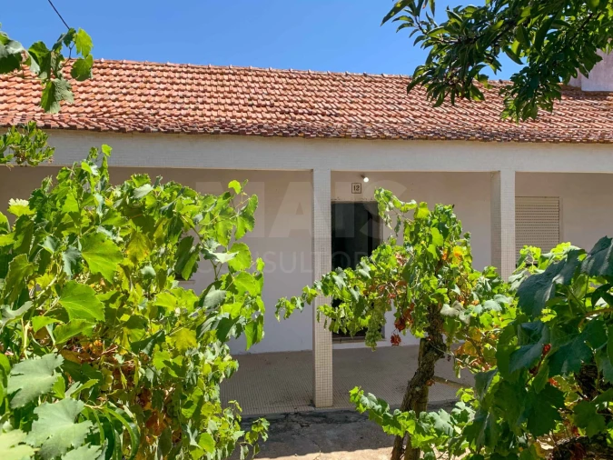 Moradia T3 para Venda em Vale de Santiago Foto 1