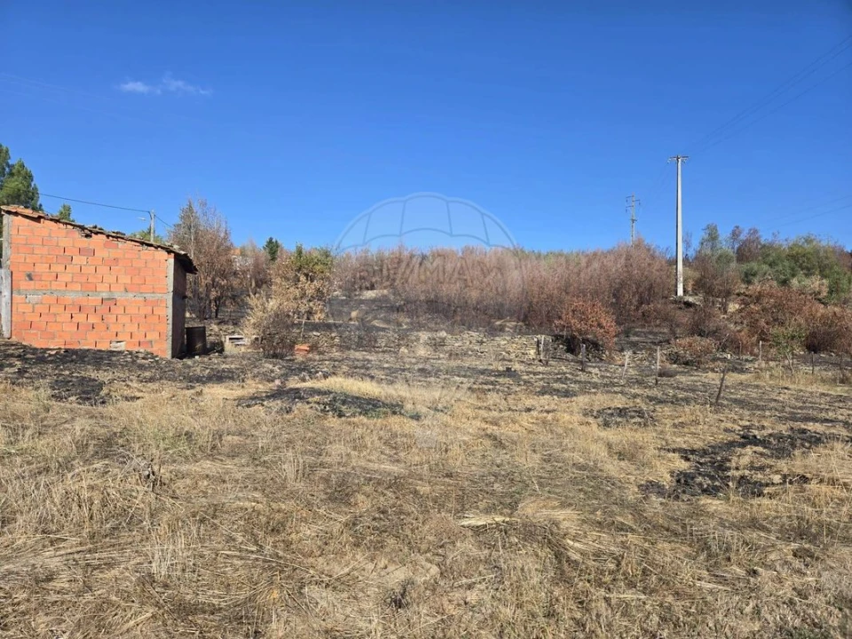 Terreno para Venda em Silvares Foto 6