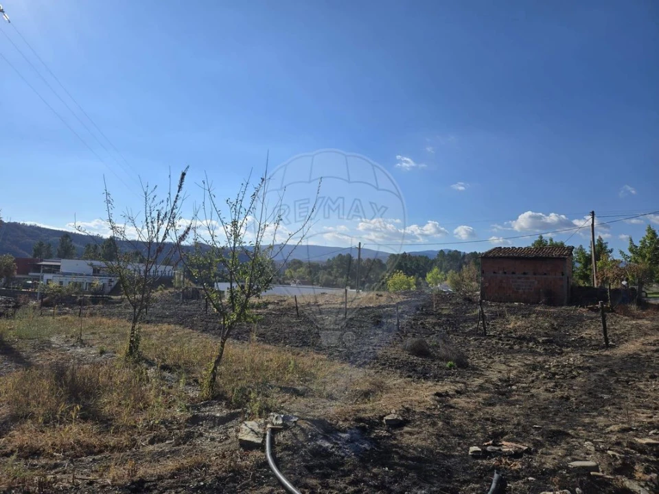 Terreno para Venda em Silvares Foto 18