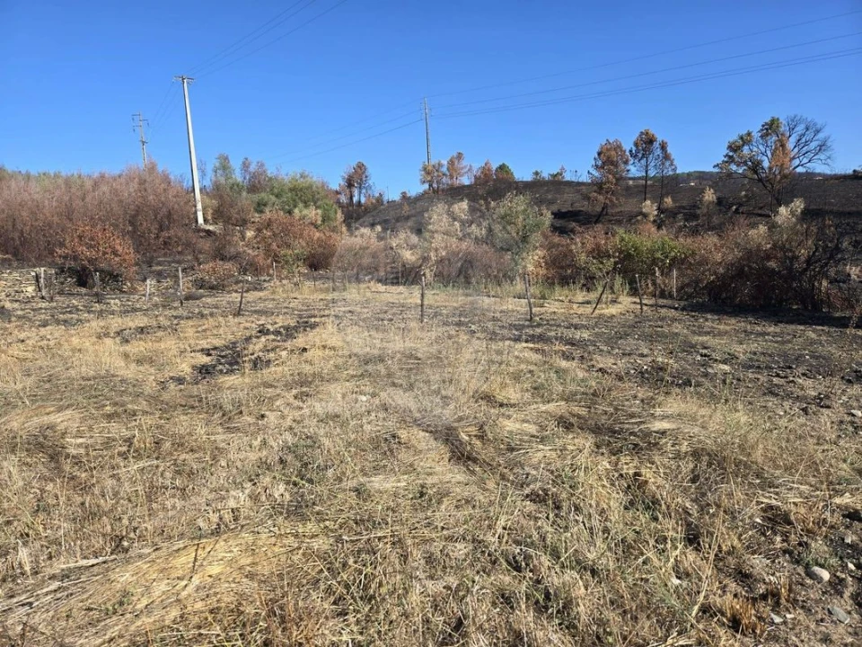 Terreno para Venda em Silvares Foto 4
