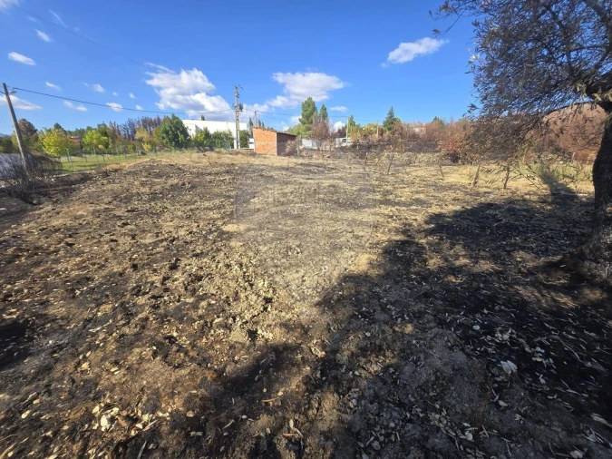 Terreno para Venda em Silvares Foto 2