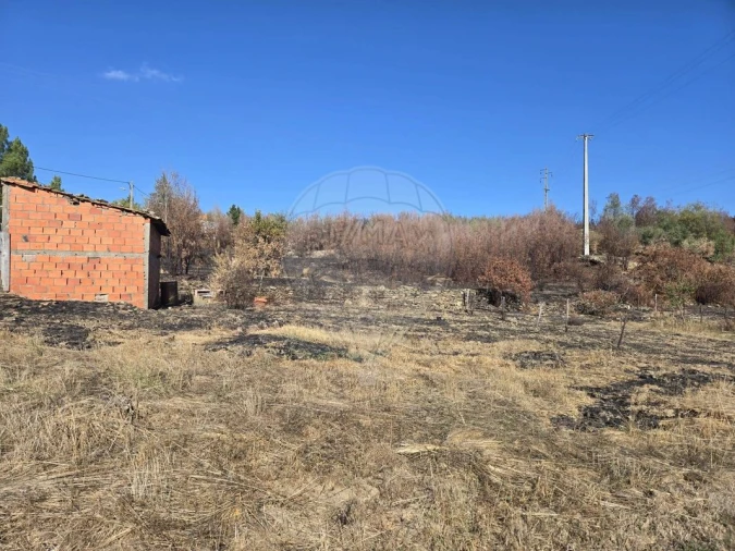 Terreno para Venda em Silvares Foto 6