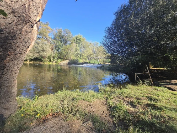Terreno para Venda em Silvares Foto 29