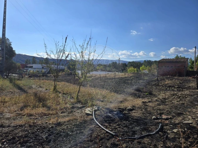 Terreno para Venda em Silvares Foto 19