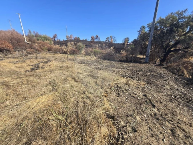 Terreno para Venda em Silvares Foto 3