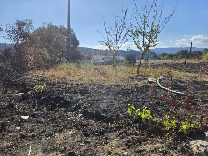 Terreno para Venda em Silvares Foto 17