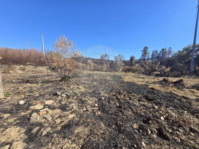 Terreno para Venda em Silvares Foto 8