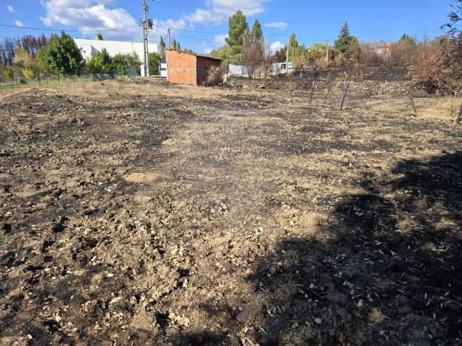 Terreno para Venda em Silvares Foto 1