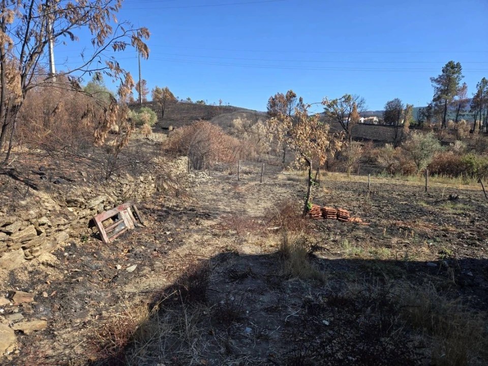 Terreno para Venda em Silvares Foto 11