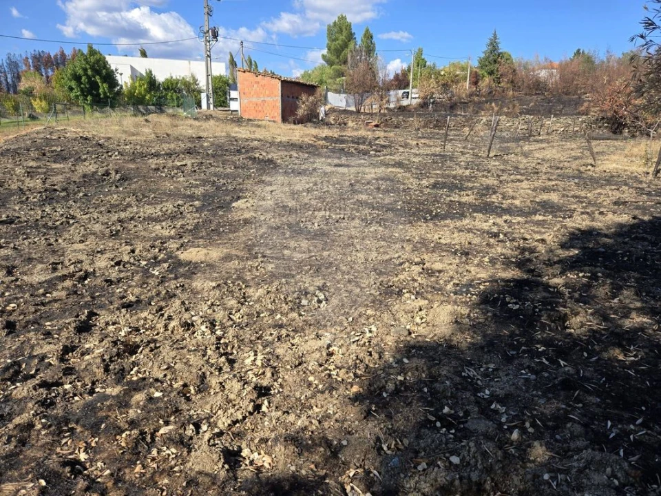 Terreno para Venda em Silvares Foto 1