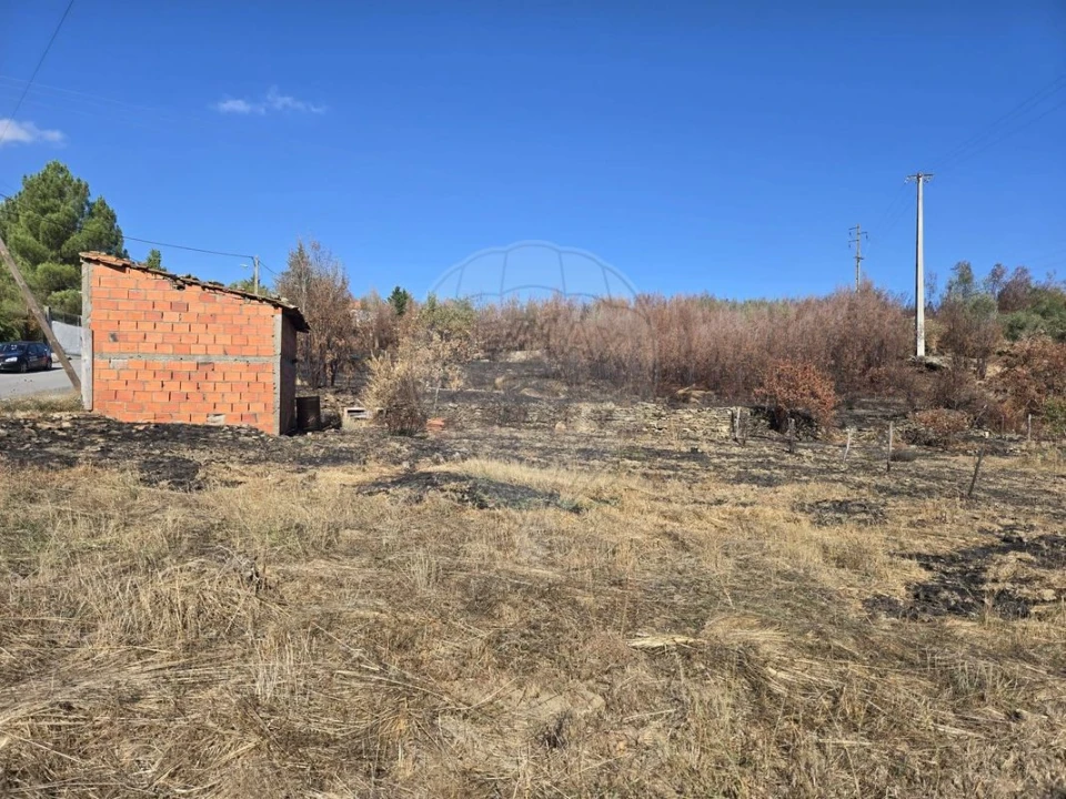 Terreno para Venda em Silvares Foto 5