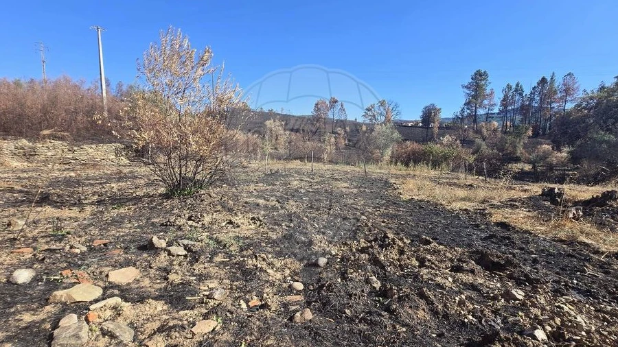 Terreno para Venda em Silvares