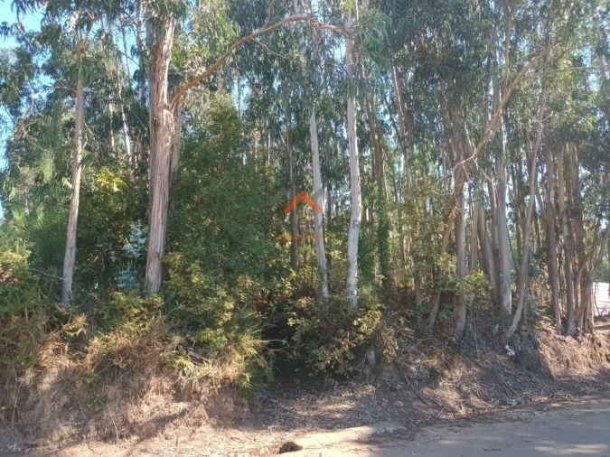 Terreno para Venda em Travassô e Óis da Ribeira Foto 2