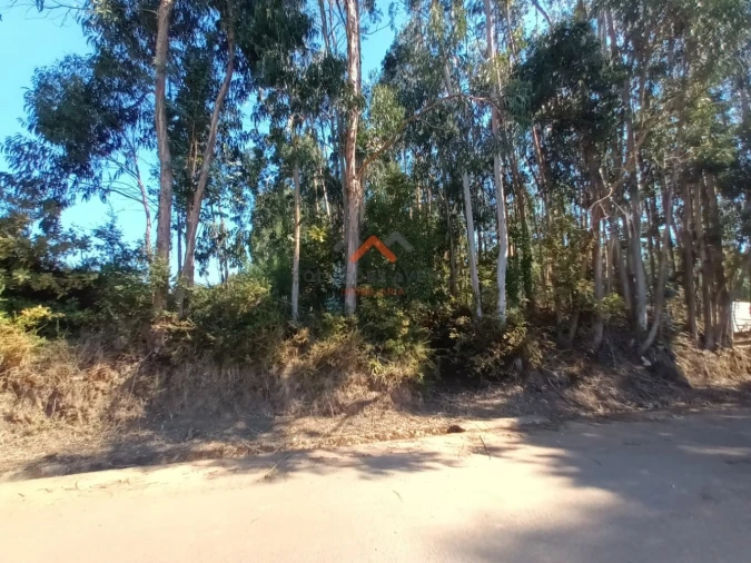 Terreno para Venda em Travassô e Óis da Ribeira Foto 3