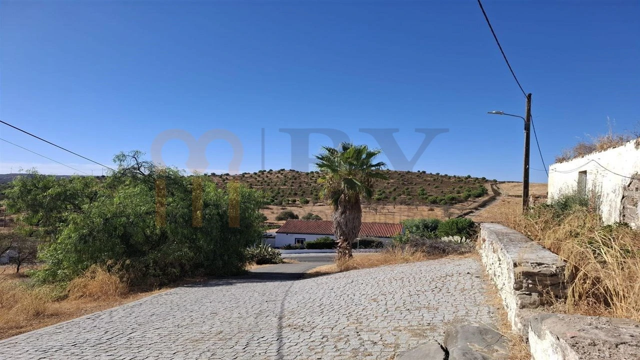 Terreno para Venda em São Miguel do Pinheiro, São Pedro de Solis, São Sebastião dos Carros Foto 20