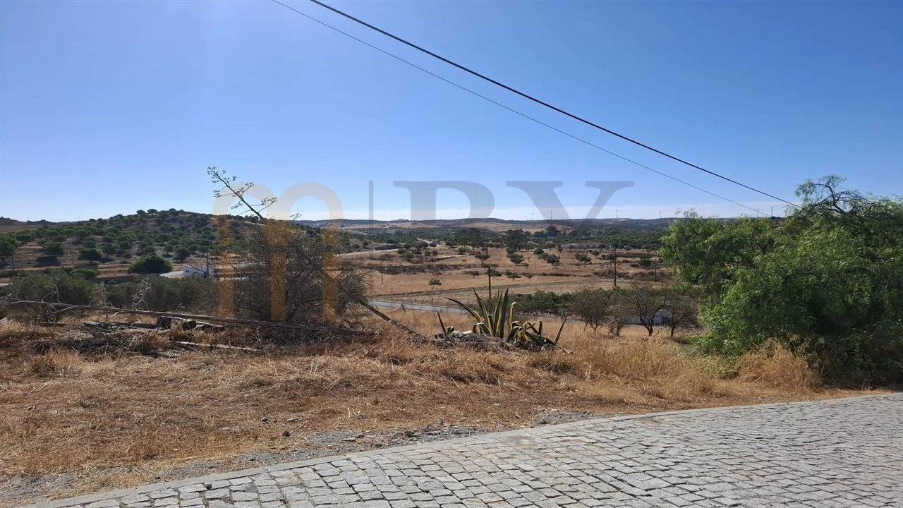 Terreno para Venda em São Miguel do Pinheiro, São Pedro de Solis, São Sebastião dos Carros Foto 22