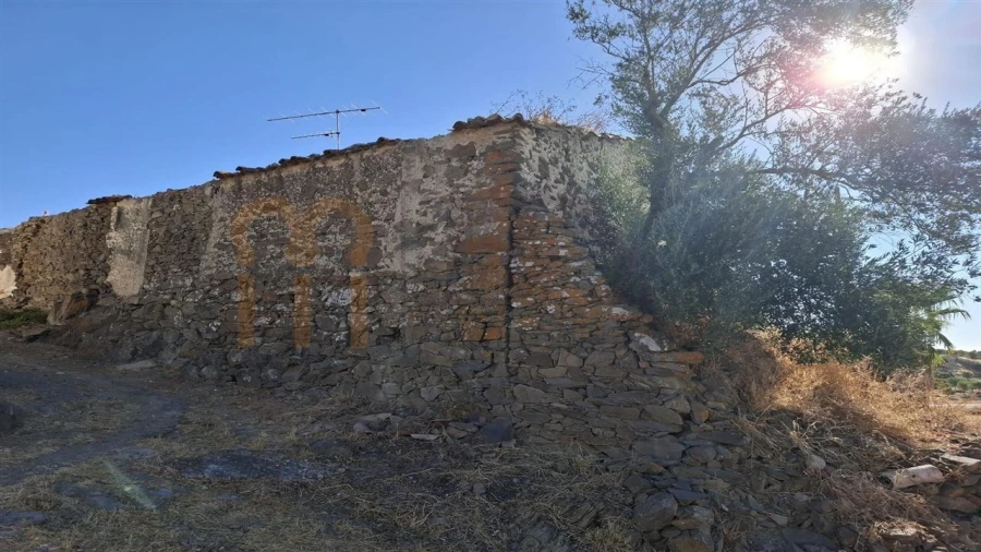 Terreno para Venda em São Miguel do Pinheiro, São Pedro de Solis, São Sebastião dos Carros Foto 11