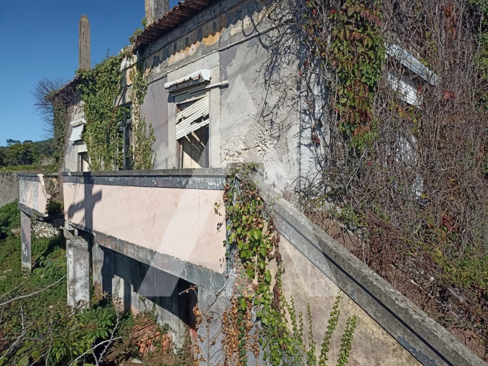 Terreno para Venda em Carreço Foto 2