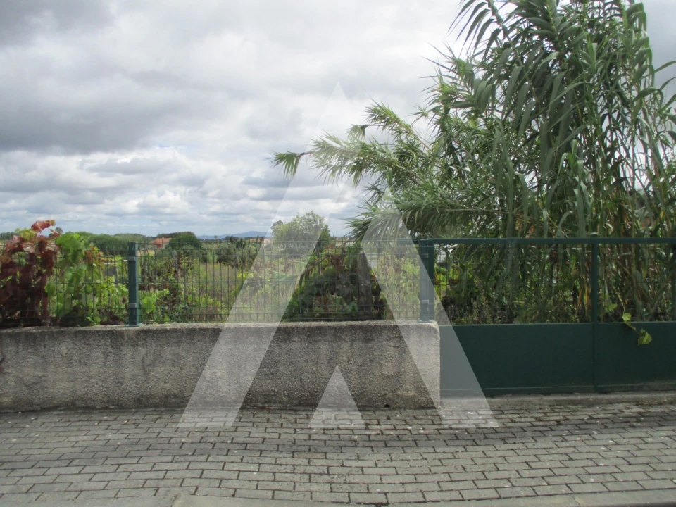 Terreno para Venda em Oiã Foto 2