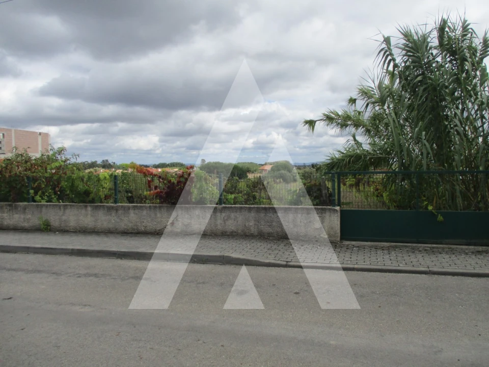 Terreno para Venda em Oiã Foto 3