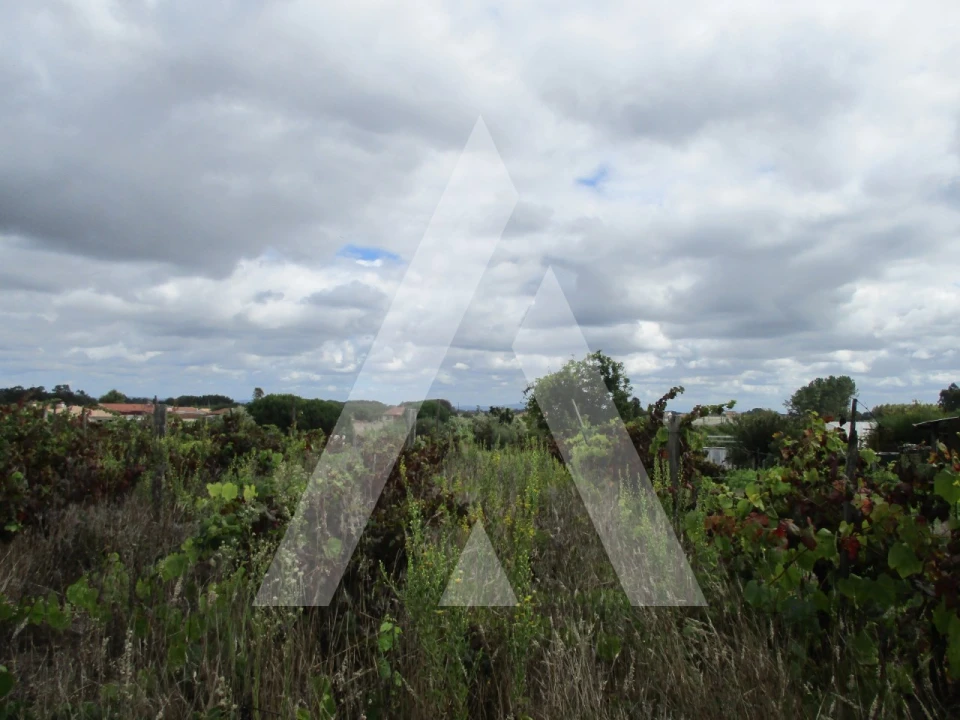 Terreno para Venda em Oiã Foto 6