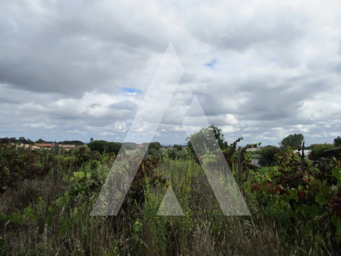 Terreno para Venda em Oiã Foto 6