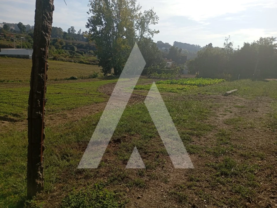 Terreno para Venda em Penafiel Foto 4