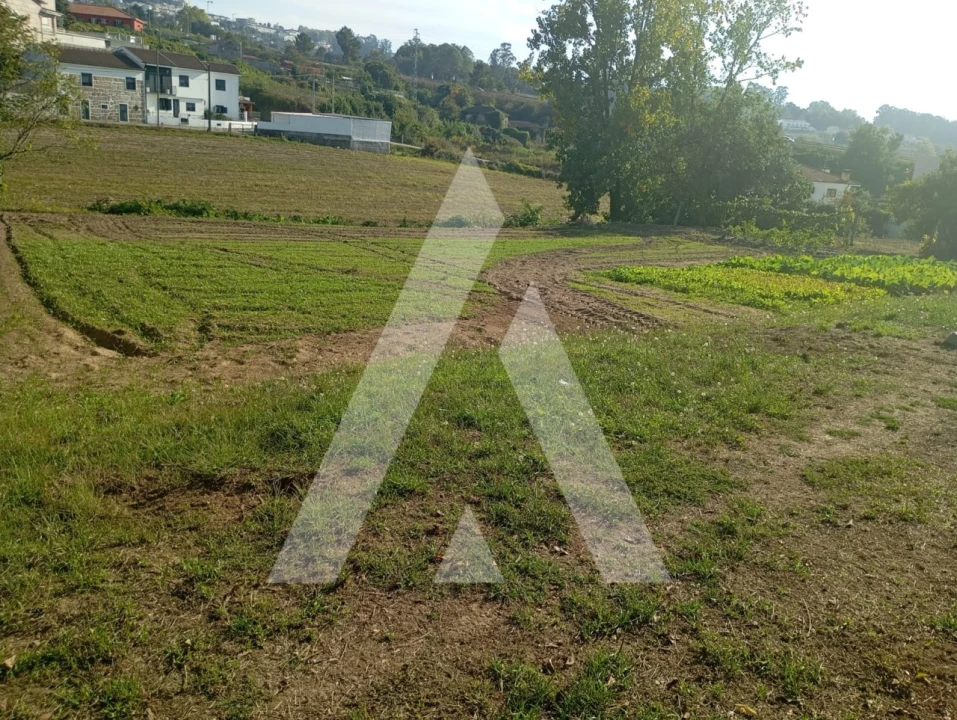 Terreno para Venda em Penafiel Foto 7