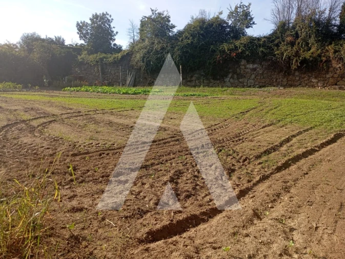 Terreno para Venda em Penafiel Foto 5