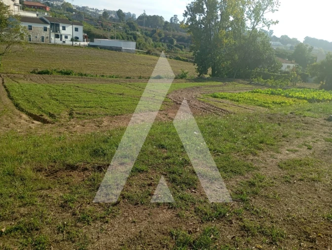 Terreno para Venda em Penafiel Foto 7