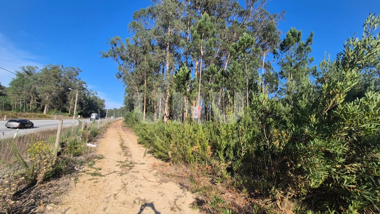 Terreno Misto para Venda em Ovar, São João, Arada e São Vicente de Pereira Jusã Foto 3