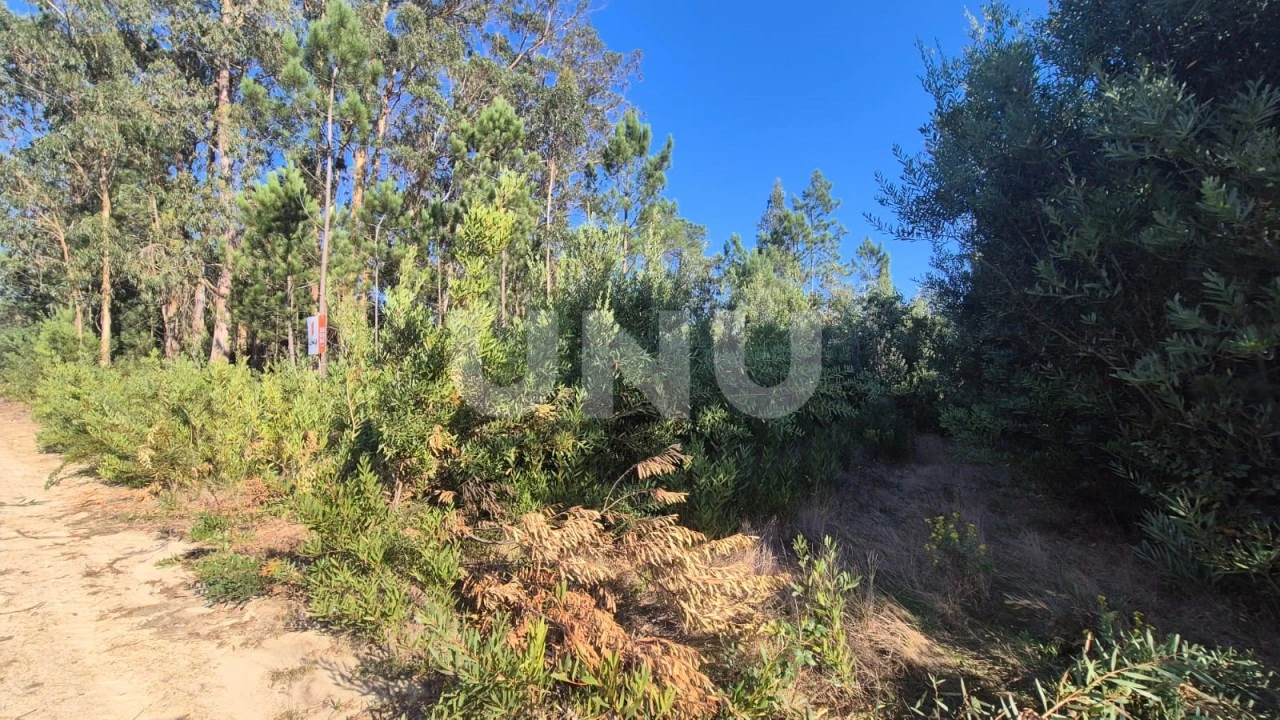 Terreno Misto para Venda em Ovar, São João, Arada e São Vicente de Pereira Jusã Foto 5