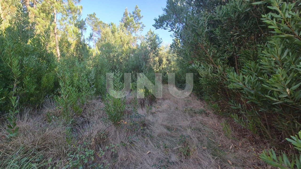 Terreno Misto para Venda em Ovar, São João, Arada e São Vicente de Pereira Jusã Foto 8