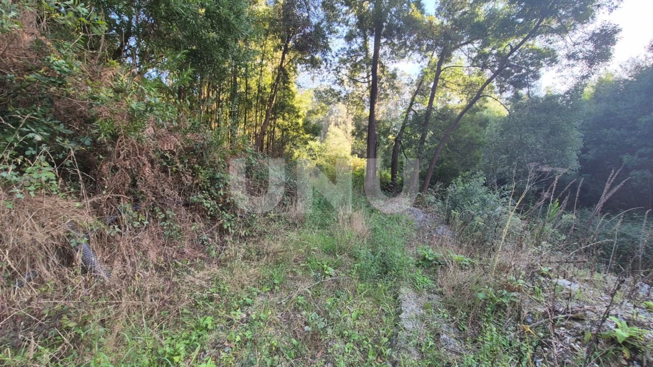 Terreno Misto para Venda em Ovar, São João, Arada e São Vicente de Pereira Jusã Foto 9