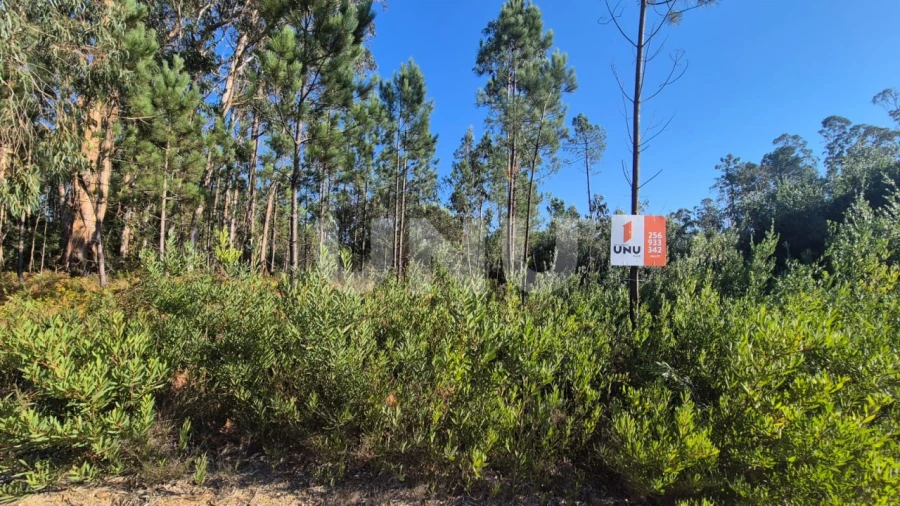 Terreno Misto para Venda em Ovar, São João, Arada e São Vicente de Pereira Jusã Foto 1