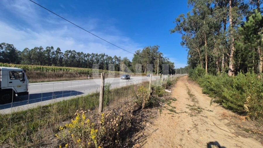 Terreno Misto para Venda em Ovar, São João, Arada e São Vicente de Pereira Jusã Foto 4