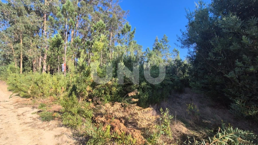 Terreno Misto para Venda em Ovar, São João, Arada e São Vicente de Pereira Jusã Foto 5