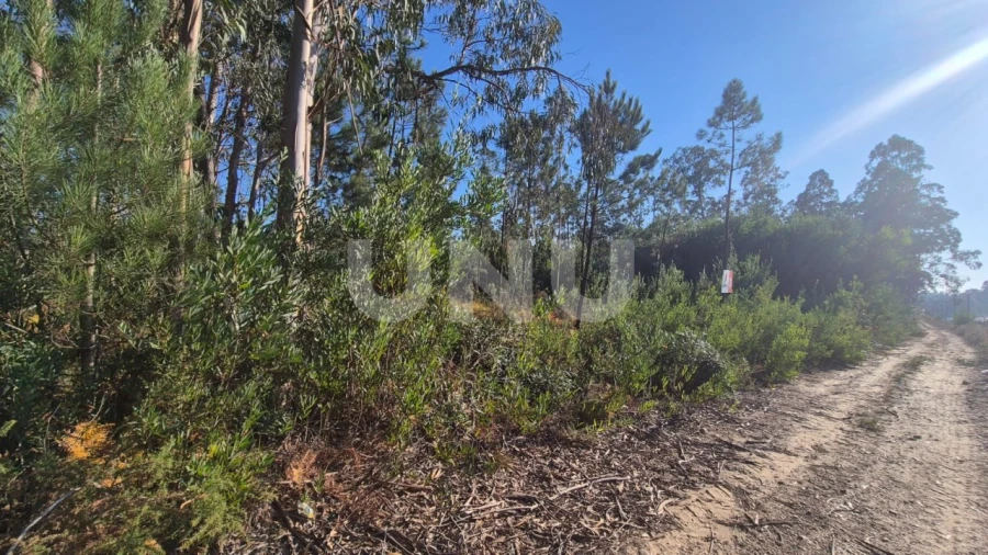Terreno Misto para Venda em Ovar, São João, Arada e São Vicente de Pereira Jusã Foto 6