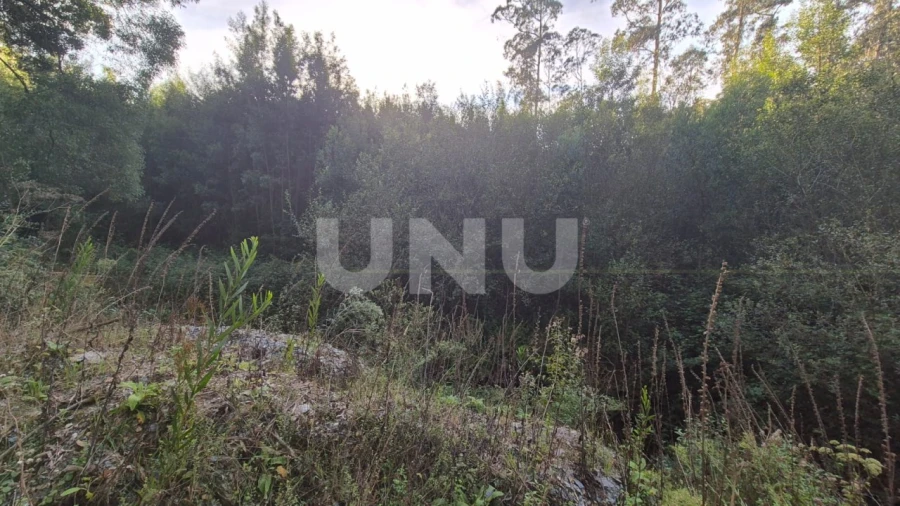 Terreno Misto para Venda em Ovar, São João, Arada e São Vicente de Pereira Jusã Foto 7