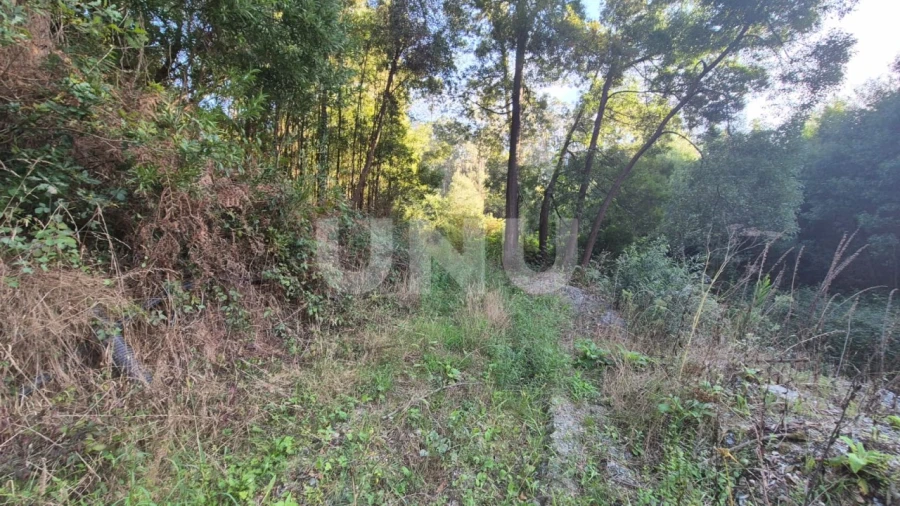 Terreno Misto para Venda em Ovar, São João, Arada e São Vicente de Pereira Jusã Foto 9